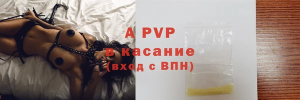 PSILOCYBIN Беломорск