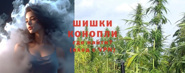 прущие крисы Белокуриха