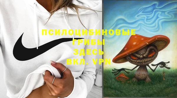 прущие крисы Белокуриха