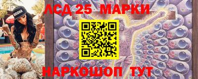 СК Новокубанск