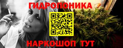 a pvp Новодвинск