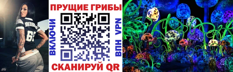 сколько стоит Бутурлиновка Псилоцибиновые грибы GOLDEN TEACHER